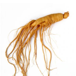 Ginseng
